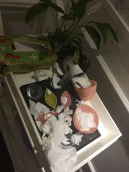 -HMC美容按摩SPA馆