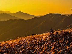 -宁夏中卫寺口旅游区(苏武牧羊遗址)