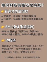 -Fundi张玉珊修身堂·indiba·BTL科技瘦身