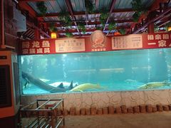 -年辉渔村·非遗传承餐厅(新丰江店)
