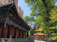 -护国法轮寺