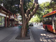 -蜀九香火锅(彩虹店)