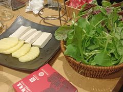 -老凯俚酸汤鱼(多彩城店)