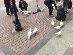 -王府井奥莱临潼小镇(临潼店)