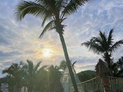 -玫瑰海岸文化旅游度假区