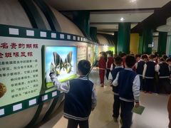 -上海昆虫博物馆