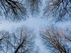 -顾村公园3号门停车场