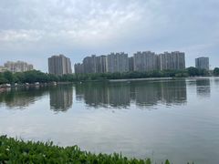 -南翔镇银翔湖公园