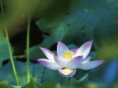 -丝绸小镇荻港古村