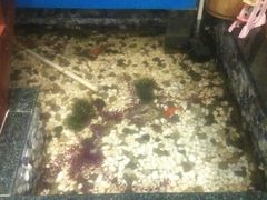 -盤古Spa泰式古法抓龙筋(鲁迅路店)