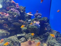 -多彩贵州城极地海洋世界