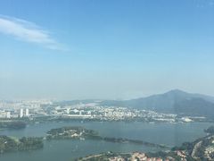 -紫峰大厦