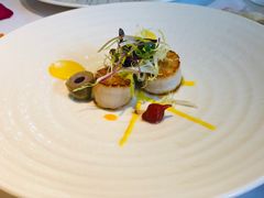 -蝶舍·MAISON PAPILLON