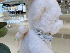 -金鹰国际购物中心(江都店)