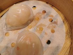 壹号虾饺皇-粤珍轩.创始店.始于2001(含光门店)
