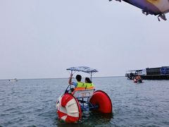 -碧海金沙