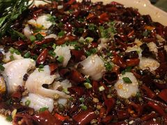 麻辣水煮鱼-胡桃里音乐酒馆(东区店)