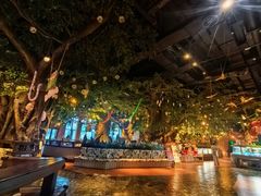 -杭州开元森泊度假乐园