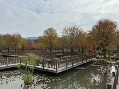 -五缘湾湿地公园