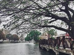 -赤坎·广东华侨国际旅游度假区