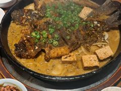 -老板恋上鱼(恒隆广场店)