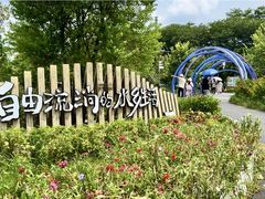-江门古劳水乡旅游区