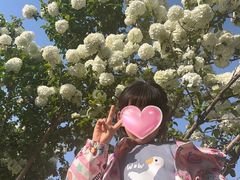 -桐乡植物园