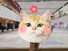 -TheRink大零溜冰场(IFS国金中心店)