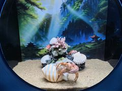 -欢乐海岸海洋奇梦馆