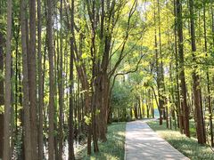 -东湖落雁景区