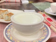 南信双皮奶-南信牛奶甜品专家