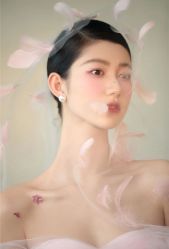 -金夫人婚纱摄影(总店)