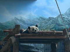 -武汉动物园