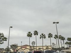 -In-N-Out Burger(LAX)