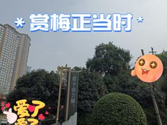 -塔子山公园