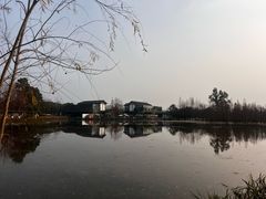 -白鹭湾湿地公园