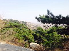 iphone_upload_pic-医巫闾山