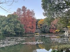 -山外山菜馆(玉泉路店)