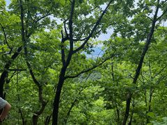 -吉林市朱雀山国家森林公园