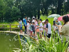 -成都市活水公园
