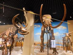 -国家自然博物馆