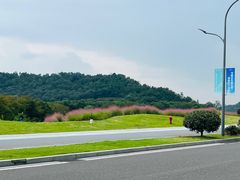 -东钱湖旅游度假区