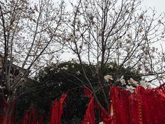 -长春观