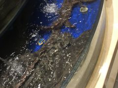 -海景壹号大酒店(滨湖店)