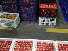 -西郊国际农产品交易中心
