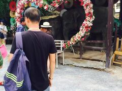 -是拉差龙虎园(Permanently closed)