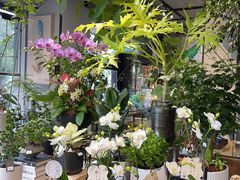 -弗劳尔花艺坊(龙涛店)