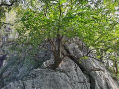 -桂林独秀峰王城景区