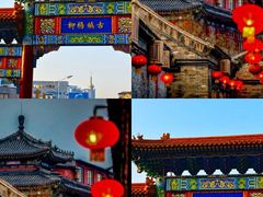 -海合安天津极地海洋公园