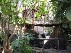 -北京植物园-展览温室
